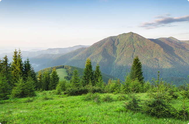 ��ˮ�֘I(y��)̼�R